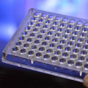 ACC Pyroplate 96-well microplate - 50 pack CA961-50 ACC Pyroplate 96-well microplate - 50 pack CA961-50
