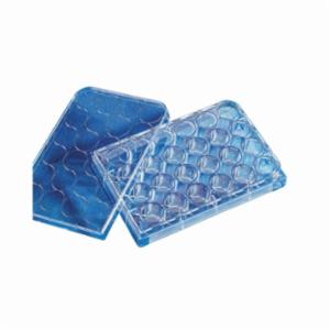 Corning Microplate 24W Clear Non-Treated Bulk St, 100 Items CORN3738 Corning Microplate 24W Clear Non-Treated Bulk St, 100 Items CORN3738