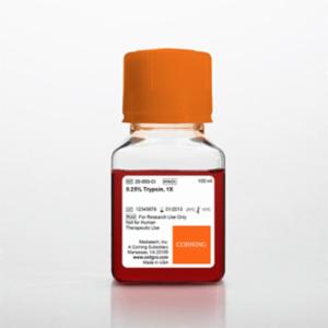 Corning 100 mL Trypsin 1x, 0.25% Trypsin in HBSS [-] calcium, magnesium, Porcine Parvovirus tested 25-050-CI