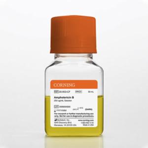 Corning 50 mL Amphotericin B, Liquid 30-003-CF