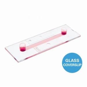 Ibidi µ-Slide I 0.4 Luer Glass Bottom 80177