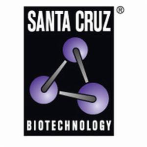 Santa Cruz MOUSE MONOCLONAL IGG B-ACTIN (AC-15) - 1, 1 EACH SANTSC-69879 Santa Cruz MOUSE MONOCLONAL IGG B-ACTIN (AC-15) - 1, 1 EACH SANTSC-69879