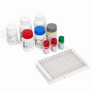 Virion\Serion ADENOVIRUS IgA Kit ESR128A