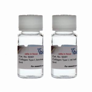 Ibidi , Collagen Type I, rat tail, 10 mg/ml, 4 x 5 ml: non-pepsinized  , 50205