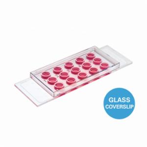 IBIDI µ-Slide 15 Well 3D Glass Bottom, Bulk Pack 120, 81507-120