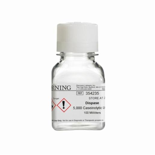 Corning Extracellmatrices Dispase Enzy Solution, 100 ml BDAA354235