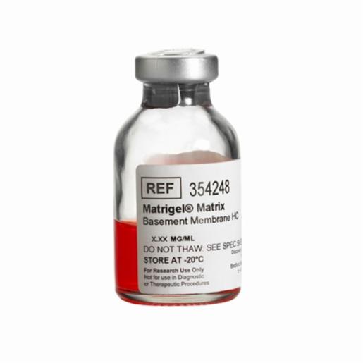 Corning Matrigel Basement Matrix High Conc, 10 ml BDAA354248