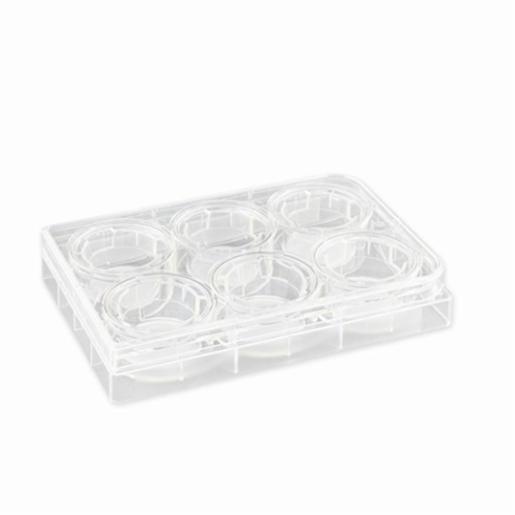 Corning Insert 24mm Transwell 0.4µm PC Mem Tc, 24 Items CORN3412