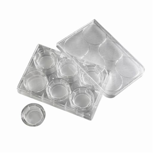 Corning Insert 24mm Transwell 0.4µm PES Mem Tc, 24 Items CORN3450