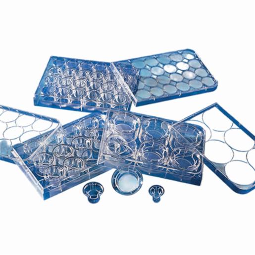 Corning Insert 6.5mm Transwell 0.4µm PES Mem Tc, 48 Items CORN3470