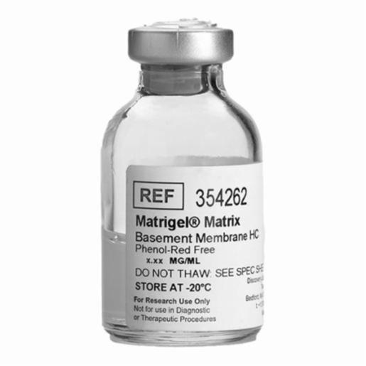Corning Matrigel Basement Matrix High Conc, 10 ml BDAA354248