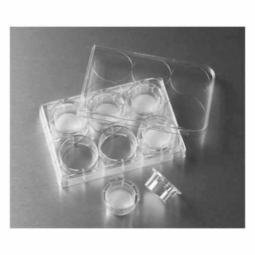 Corning Insert 24mm Transwell 0.4µm PC Mem Tc, 24 Items CORN3412