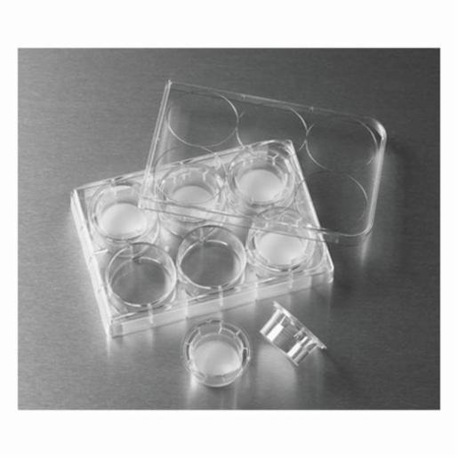 Corning Insert 6.5mm Transwell 0.4µm PES Mem Tc, 48 Items CORN3470