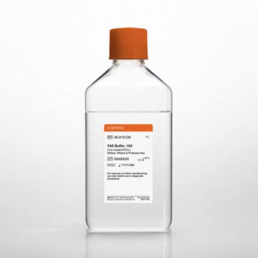 Corning 1 L 10x TAE Buffer, Liquid, pH 8.3 ± 0.1 RNase-/DNase- and protease-free 46-010-CM