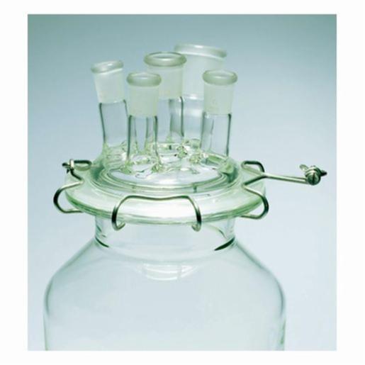 DWK Clip Stainless St Fr Flange Bore 100mm, 1 Item BIBBJC100F