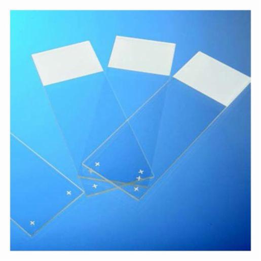 Epredia Slide Superfrost Plus White 72Pcs (J1800Amnz) EPBRSF41296SP