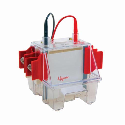 Hoefer Mighty Small II Deluxe Mini Vertical Protein Electrophoresis Unit (Complete unit with 1.0mm) SE260-10A-1.0