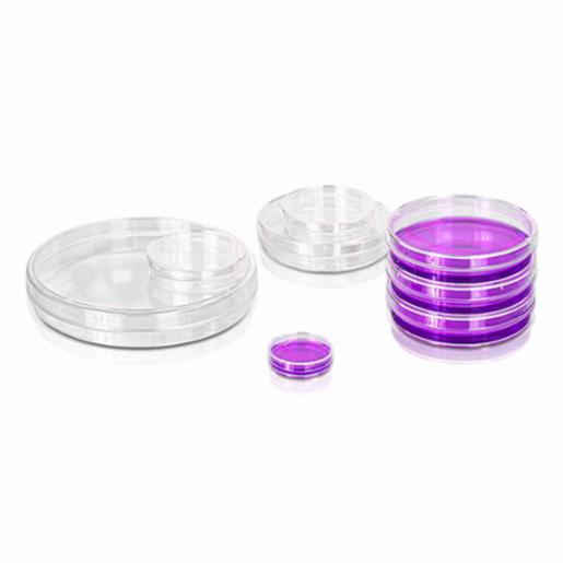 Labpro QuickFit 100mm, Tissue Culture (TC) Treated, Easy-Grip, Sterile 300 Qty/Ctn LPCP0268