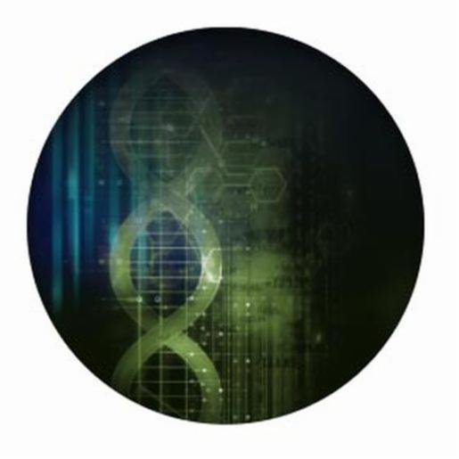 Nanostring NCOUNTER Elements Tagsets-144Plex NSTG121000612