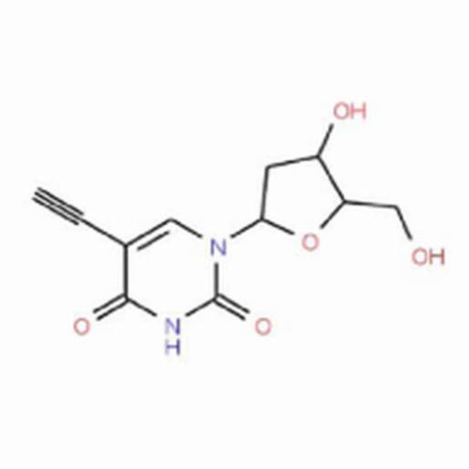 Santa Cruz 5-ETHYNYL-2'-DEOXYURIDINE, 250 MG SANTSC-284628