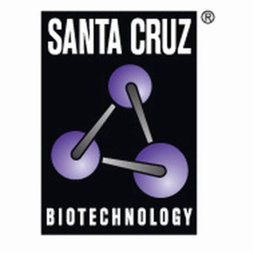Santa Cruz 60 KDA RO/SSA ANTIBODY (AA-3), 100 µg/ml SANTSC-100844