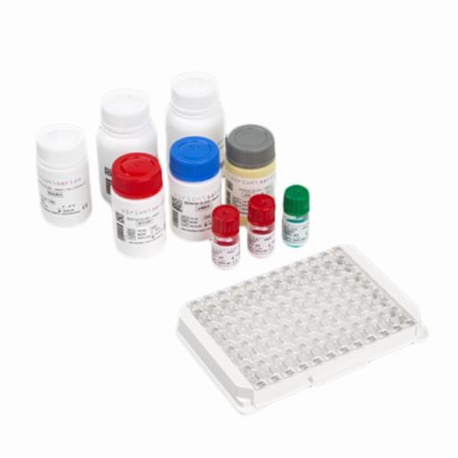 Virion\Serion ECHINOCOCCUS IgG Kit ESR107G