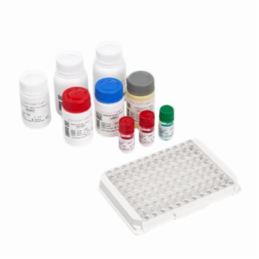 Virion\Serion ADENOVIRUS IgA Kit ESR128A