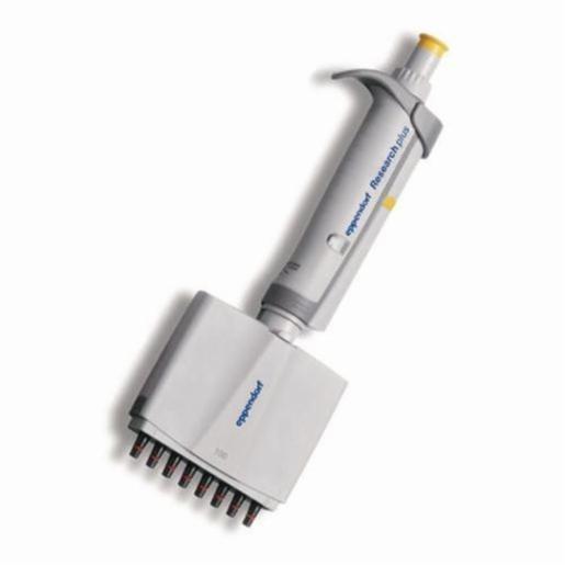 Eppendorf Pipette 10-100µl 8 Research Plus Adj Yel, 1 Item EPPE3125000.036