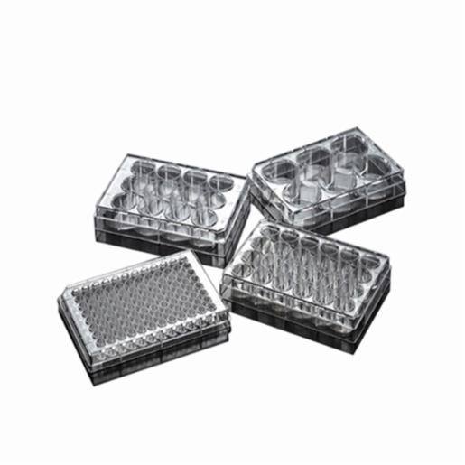 Jetbio Tissue Culture Plates, Standard Type Suitable for adhesion cell after surface treament, 6 well, 9.5cm2 TCP011006